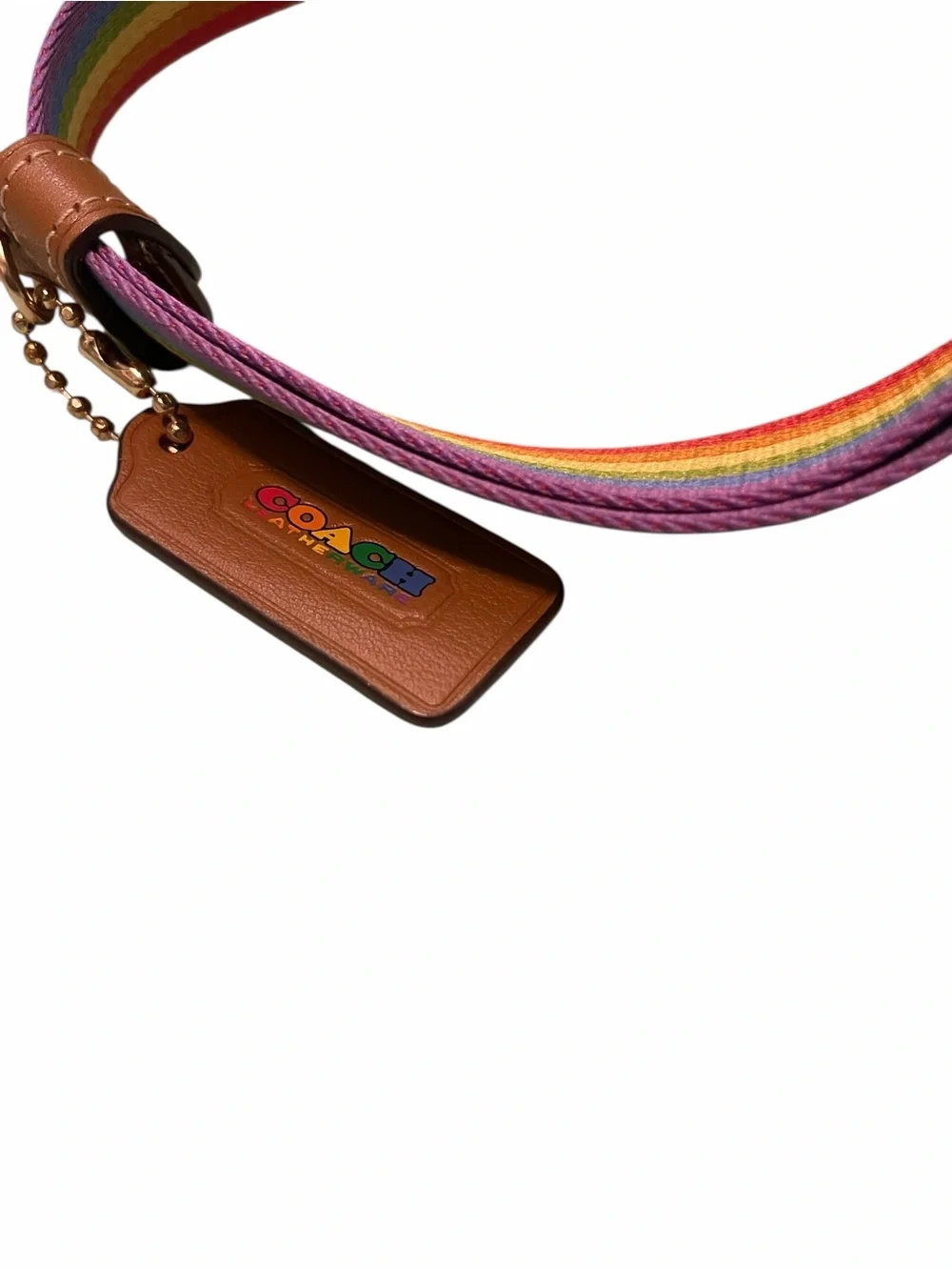 Coach Limted Edition Rainbow Signature Canvas Mini Pennie 22 Backpack